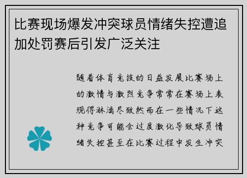 比赛现场爆发冲突球员情绪失控遭追加处罚赛后引发广泛关注